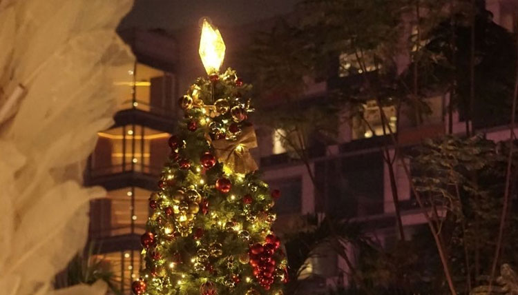 Andaz-Delhi---Christmas-Tree-Lighting-event